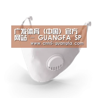 N95 口罩