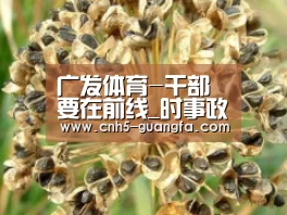 广发体育