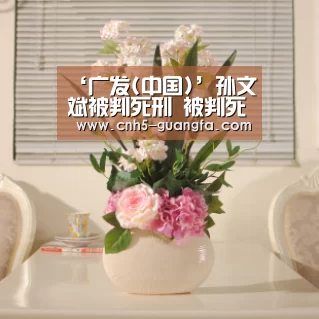 ‘广发(中国)’孙文斌被判死刑 被判死刑后多久执行?(图2) 广发(中国)